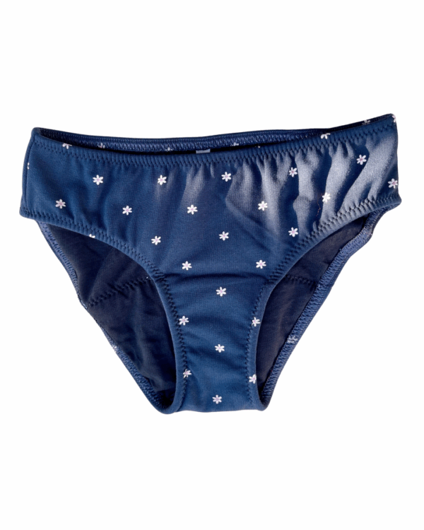 The Iconic For Teens Period Panty - Blue Flowers